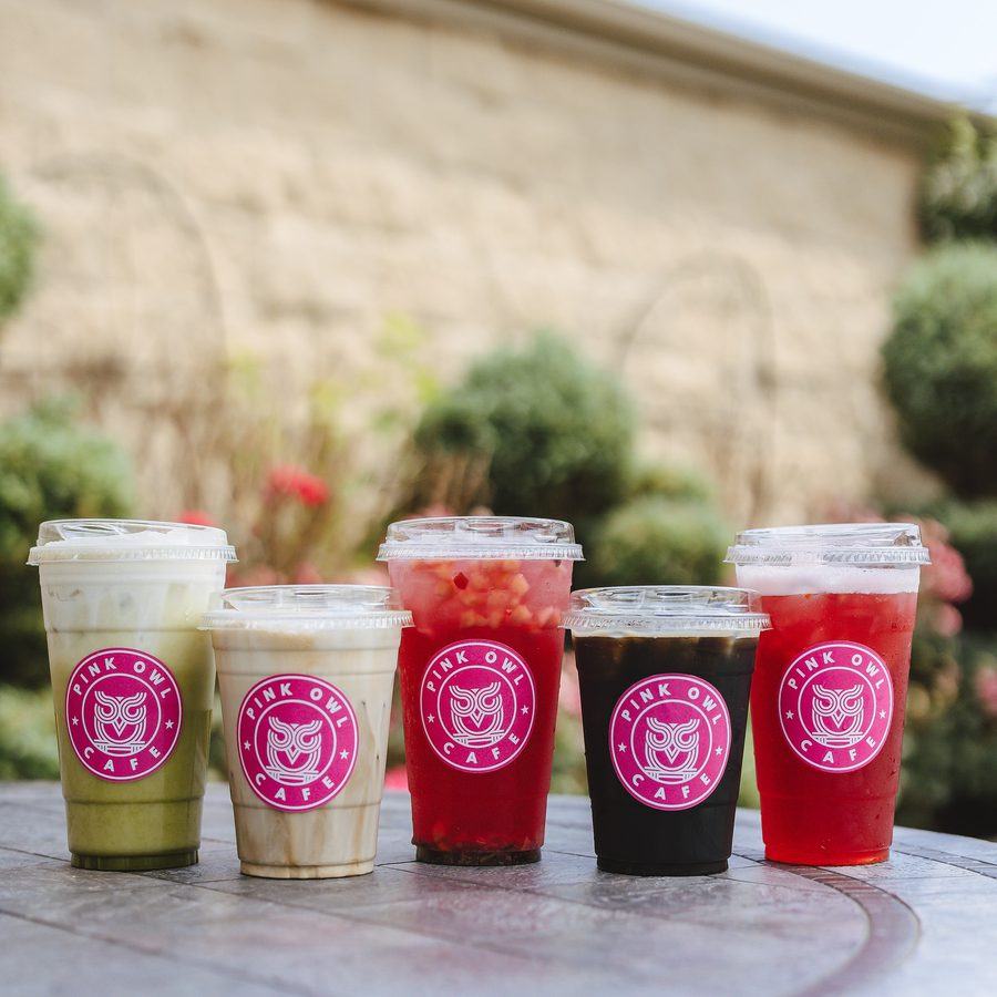 Five Pink Owl drinks lined up outdoors: matcha, latte, two red refreshers and a cold brew