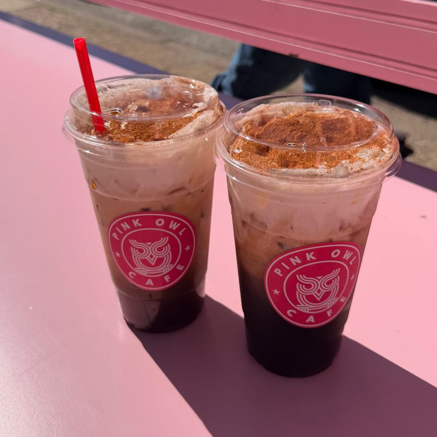 Two iced Pink Owl drinks with cinnamon on top, on a pink ledge outside the cafe