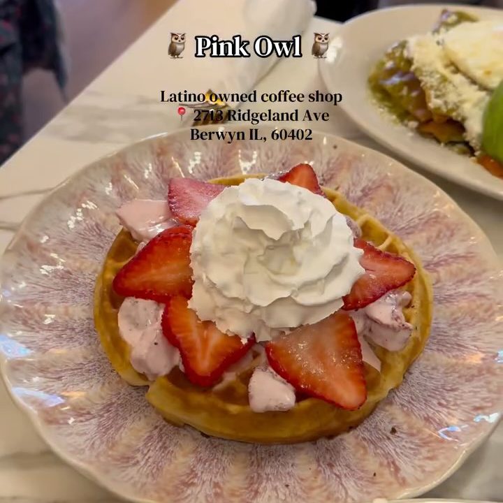A Pink Owl Waffle and a plate of chilaquiles on the table, captioned: Pink Owl, Latino owned coffee shop, 2713 Ridgeland Ave, Berwyn IL 60402